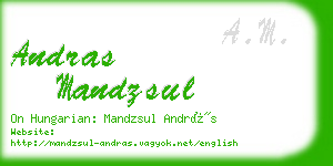 andras mandzsul business card